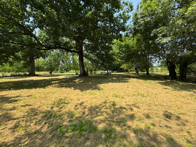 Maison - 220 m² - 7 pièces