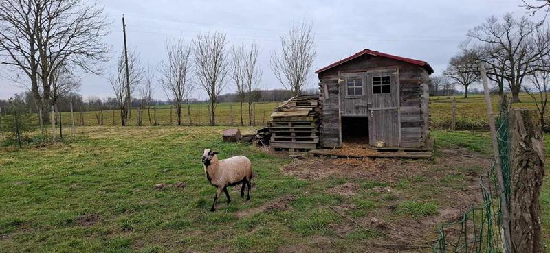 Maison - 240 m² - 7 pièces