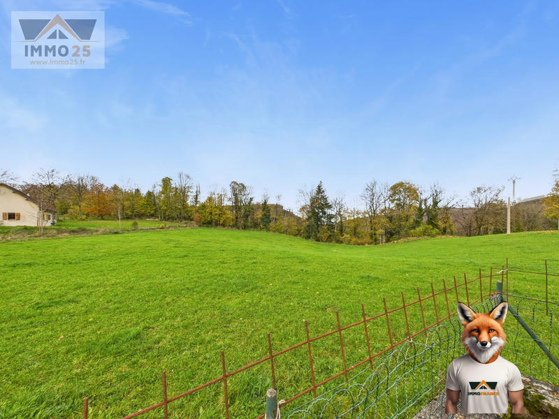 Ferme - 244 m² - 10 pièces