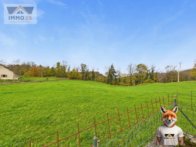 Ferme - 244 m² - 10 pièces