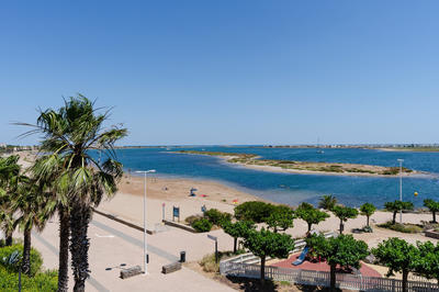 Appartement - 28 m² - 2 pièces