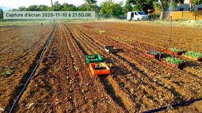 Les légumes bio du chemin des Clapiers