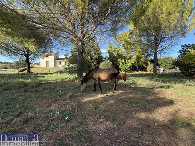 Mas - 231 m² - 6 pièces