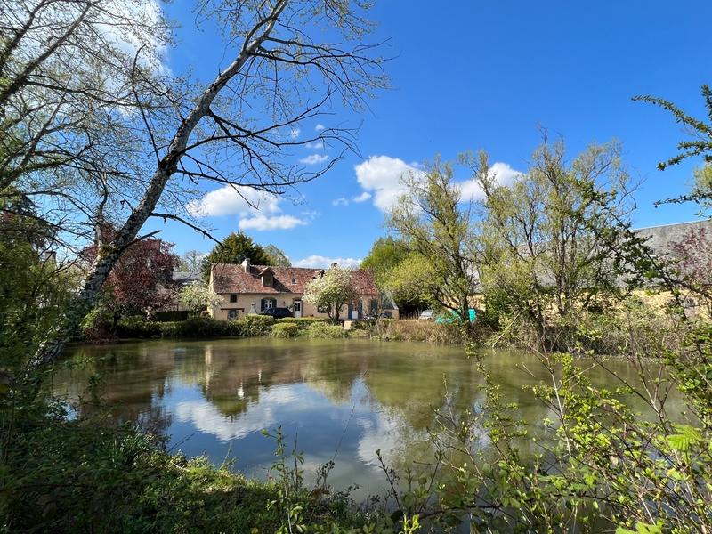 Manoir - 600 m² - 22 pièces