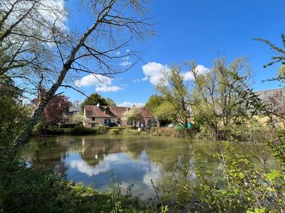 Manoir - 600 m² - 22 pièces