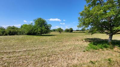 Terrain constructible - 8 192 m²