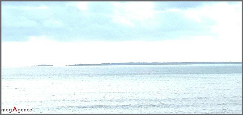 Appartement - 24 m² - 1 pièce