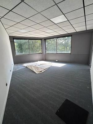 Bureau - 100 m² - 5 pièces