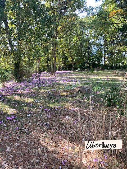 Maison - 158 m² - 7 pièces