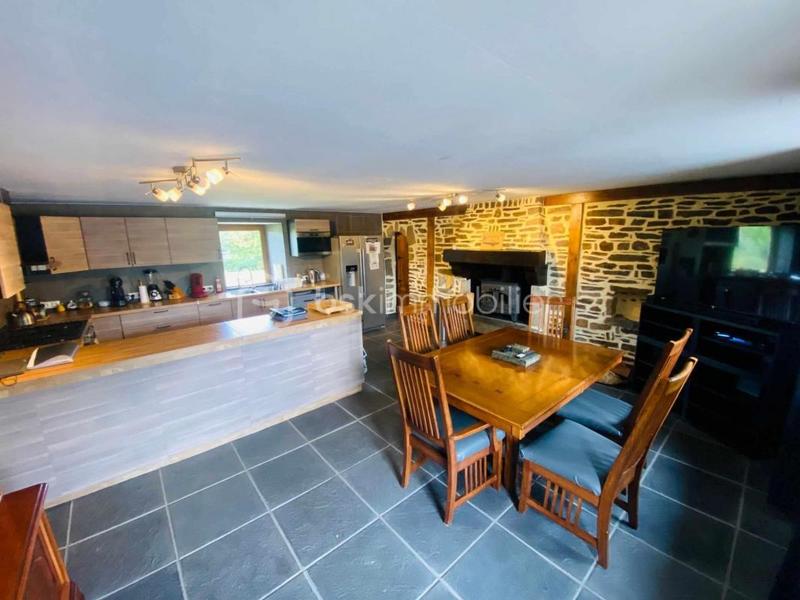 Maison en pierre - 201 m² - 8 pièces