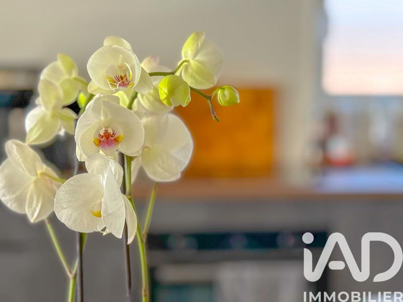 Maison - 86 m² - 4 pièces