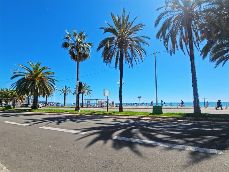 Studio - 32 m² - 1 pièce