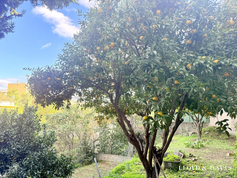 Maison - 168 m² - 7 pièces