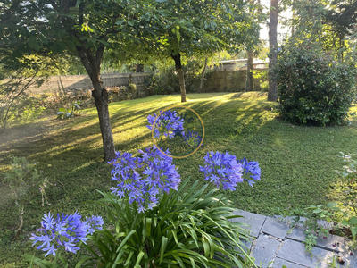 Maison - 189 m² - 5 pièces