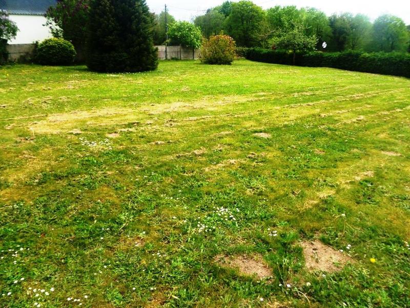 Terrain constructible - 750 m²