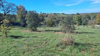 Maison en pierre - 130 m² - 4 pièces