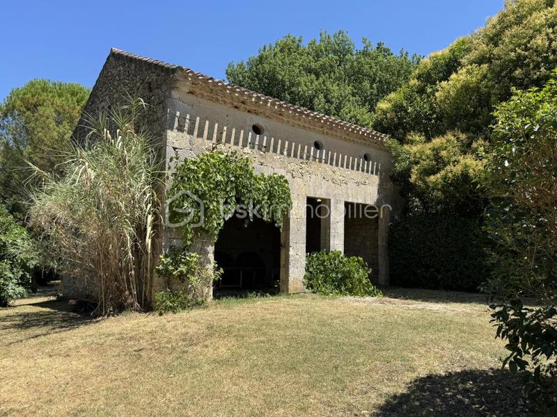 Château - 575 m² - 13 pièces