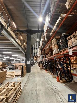 Local d'activité / Entrepôt - 3 700 m²