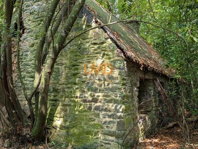 Maison en pierre - 60 m² - 2 pièces