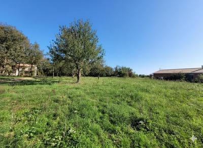Terrain - 1 050 m²
