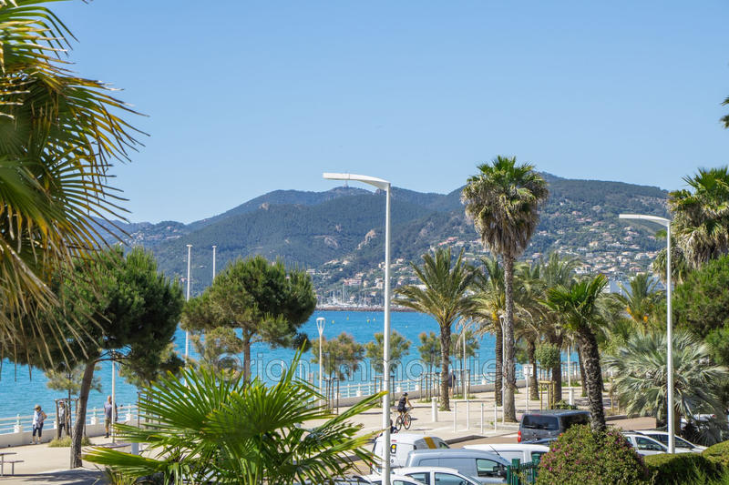 Appartement - 24 m² - 1 pièce