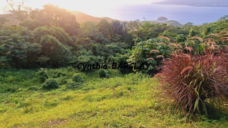 Villa - 132 m² - 3 pièces