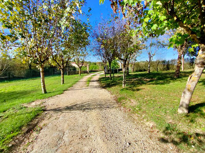 Maison - 136 m² - 5 pièces