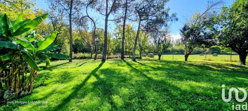 Maison - 295 m² - 7 pièces