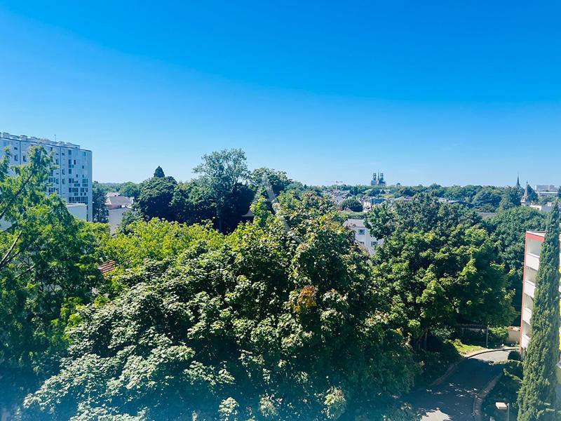 Appartement - 100 m² - 5 pièces