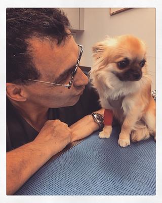 Ouest My Vet Clinique vétérinaire