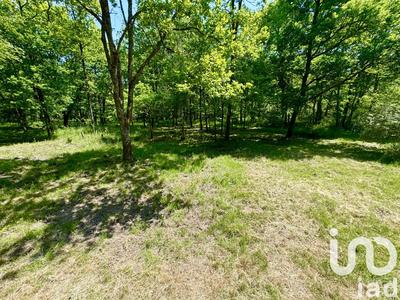 Terrain - 10 000 m²