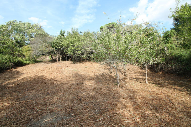 Maison de village - 70 m² - 4 pièces