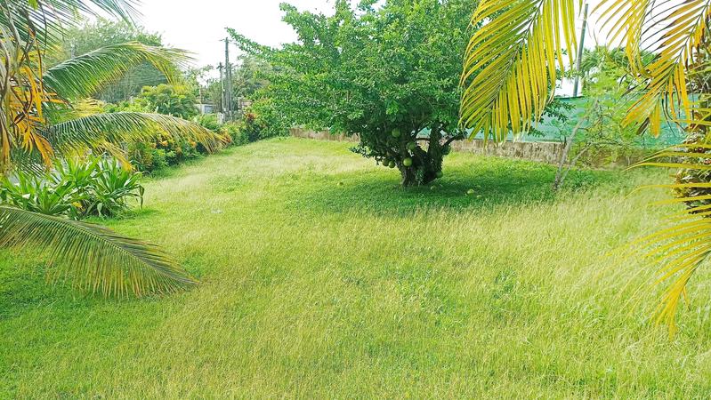 Maison - 174 m² - 5 pièces