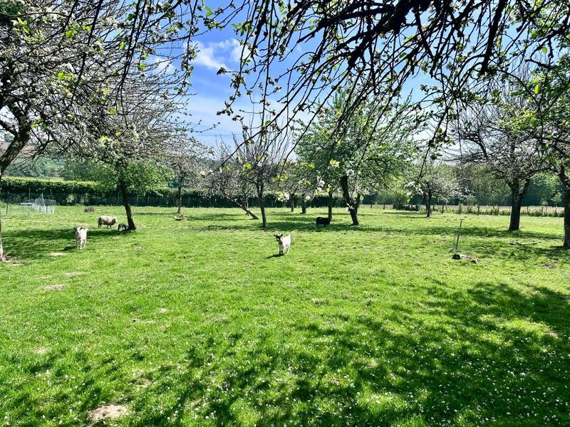 Maison en pierre - 244 m² - 7 pièces