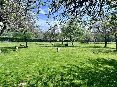 Maison en pierre - 244 m² - 7 pièces