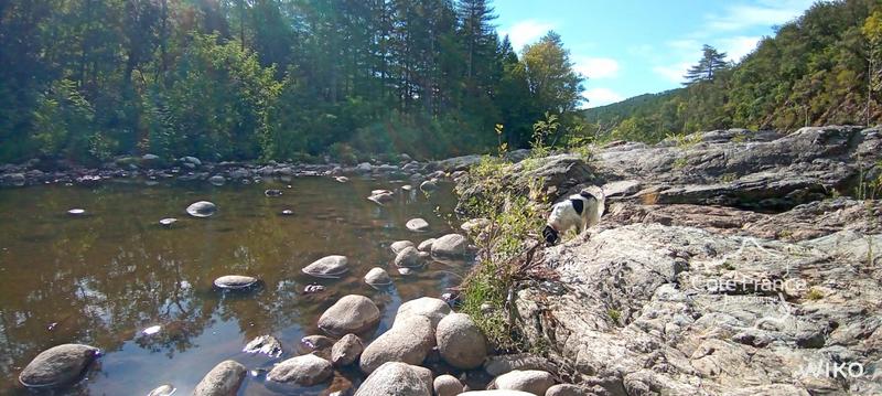 Mas - 144 m² - 6 pièces