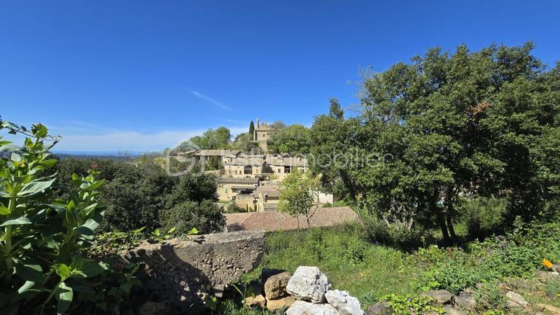 Maison en pierre - 223 m² - 7 pièces