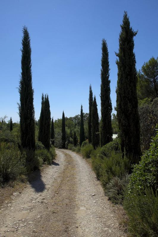 Maison - 445 m² - 15 pièces