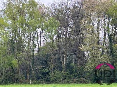 Terrain - 31 689 m²