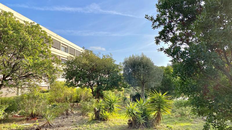 Appartement - 28 m² - 1 pièce