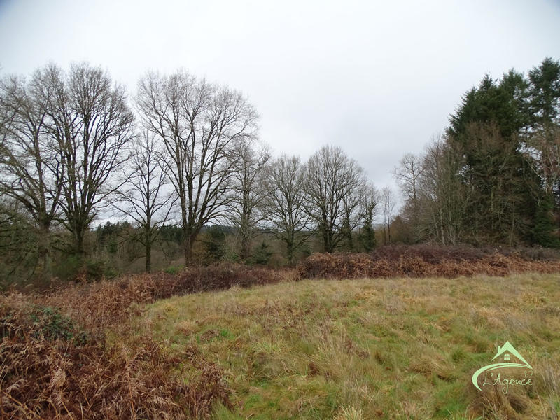 Terrain agricole - 10 541 m²