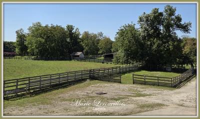 Maison - 440 m² - 12 pièces