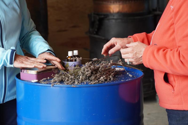 Atelier d'aromathérapie familiale dans une distillerie d’huile essentielle