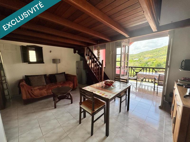 Duplex - 36 m² - 1 pièce