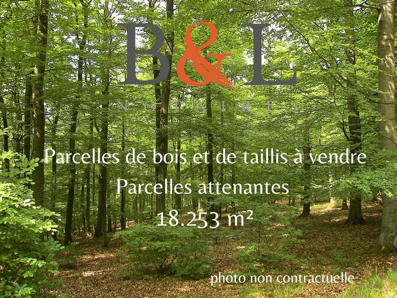 Terrain de loisirs - 18 253 m²