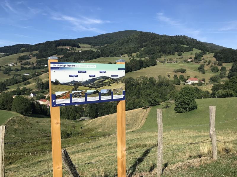 Le géant gourmand à Lapoutroie - Jeu de piste
