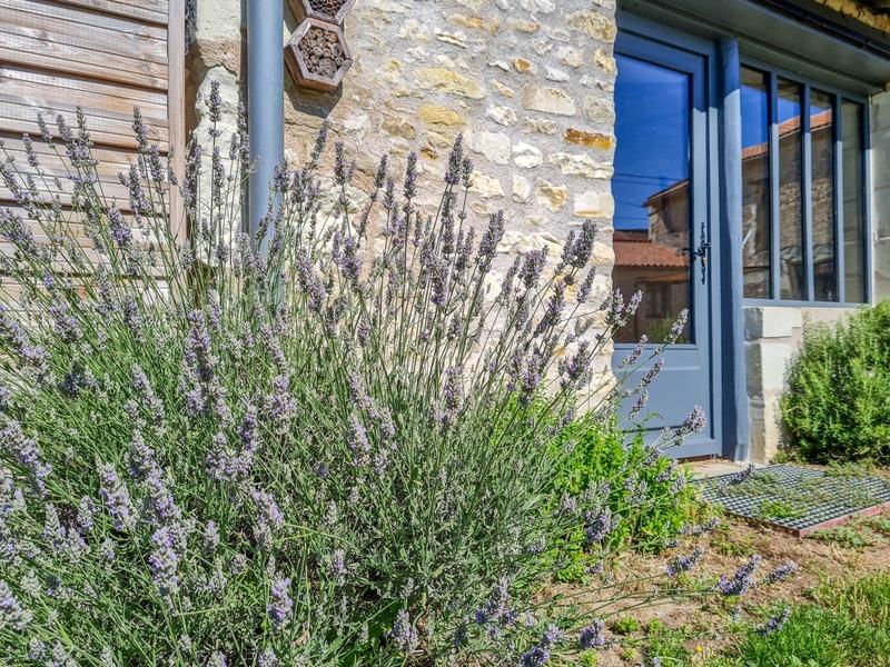 Propriété - 315 m² - 9 pièces