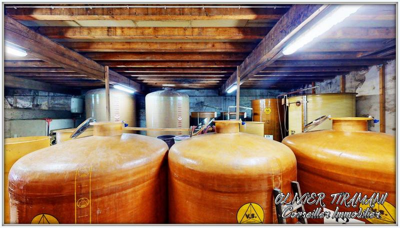 Maison de domaine - 270 m²