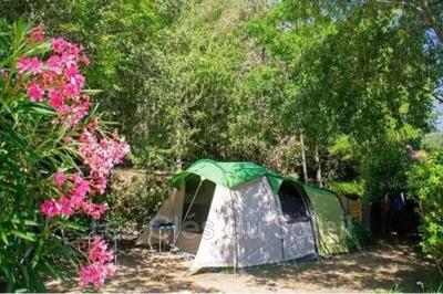 Fonds de commerce - 9 700 m²