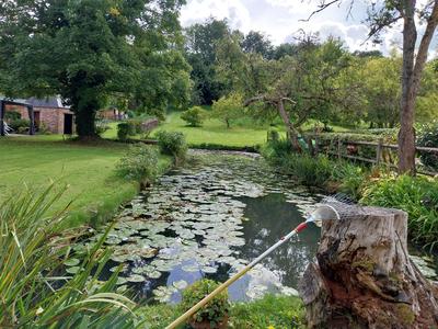 Maison - 177 m² - 6 pièces